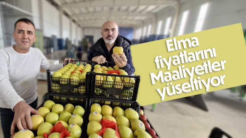 Elma fiyatını maliyetler yükseltiyor
