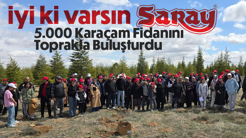 Saray Holding 5.000 Karaçam Fidanını Toprakla Buluşturdu