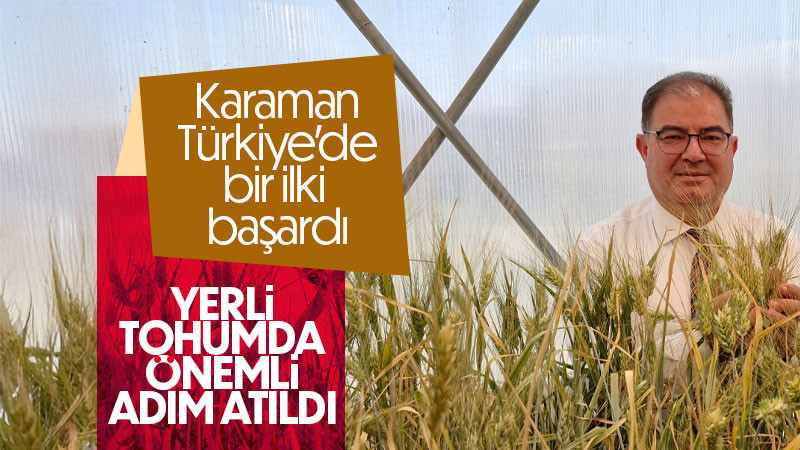 KMÜ, buğdayda tohum geliştirme süresini 8 yıldan 2 yıla düşürdü