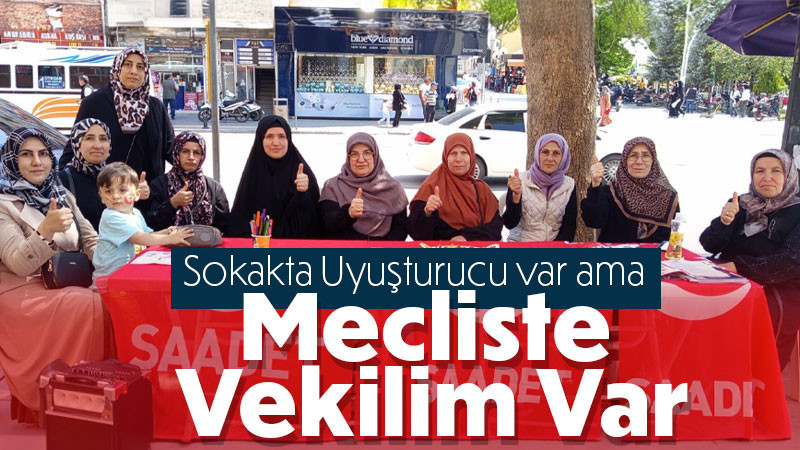 Saadet Partisi Karaman İl Kadın Gençlik Kolları'ndan “Mecliste Vekilim Var” Etkinliği