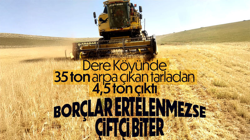 Kuraklık ve Don Çiftçiyi Vurdu: 100 Dekardan Sadece 4,5 Ton Arpa Alabildiler