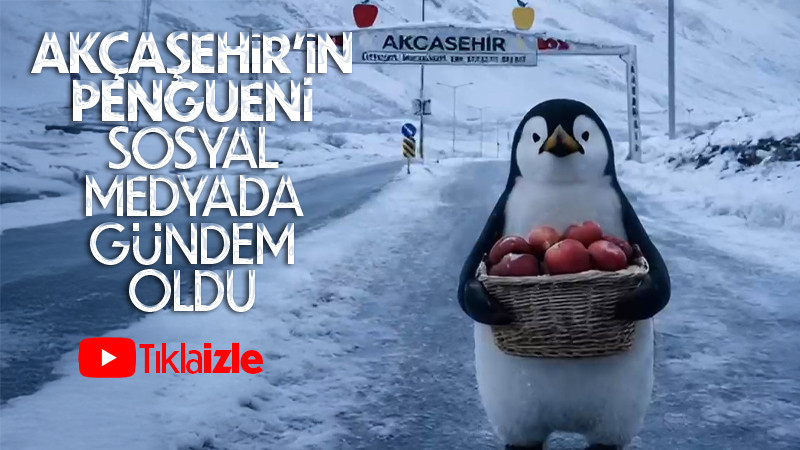 Gezen Penguen Elmayı Akçaşehir'de buldu