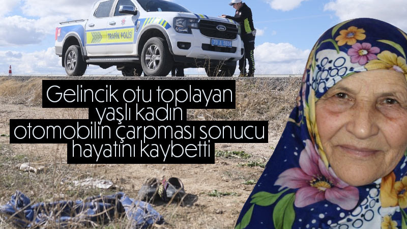 Gelincik otu toplayan yaşlı kadın otomobilin çarpması sonucu hayatını kaybetti