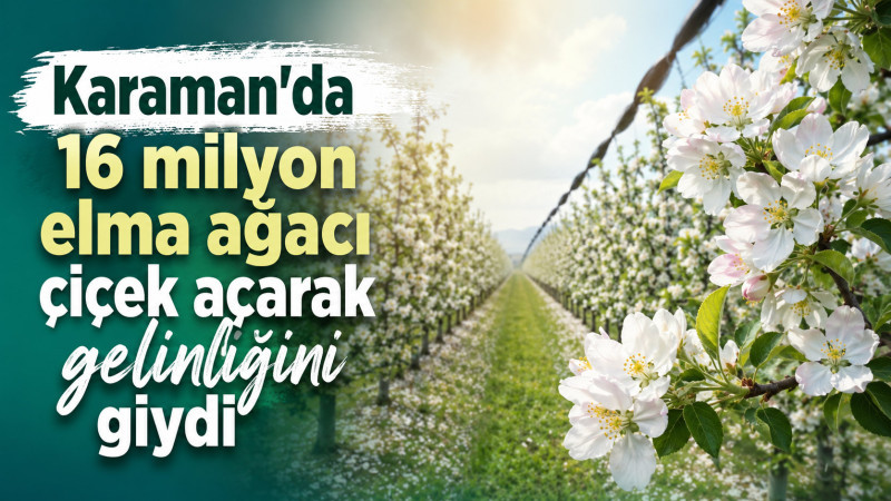 Karaman'da 16 milyon elma ağacı çiçek açarak gelinliğini giydi