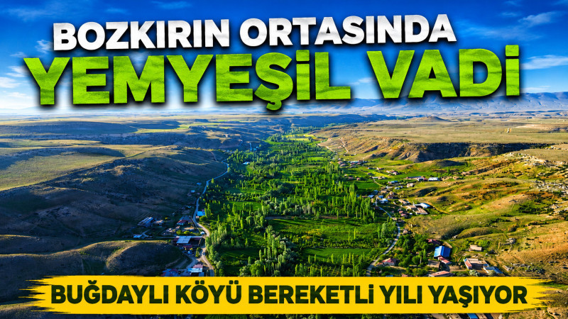 Bozkırın ortasında yemyeşil vadi: Buğdaylı köyü bereketli yılı yaşıyor