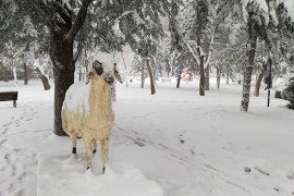 Karaman’da kar yağışı ve tip hayatı olumsuz etkiliyor