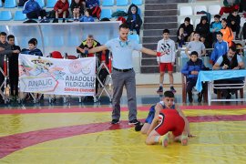 Analig Güreş Yarı Final Müsabakaları Karaman’da Başladı