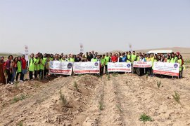 KYK Öğrencileri 300 Fidanı Toprakla Buluşturdu