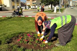 Karaman Belediyesi Mevsimlik Çiçek Ekimine Devam Ediyor