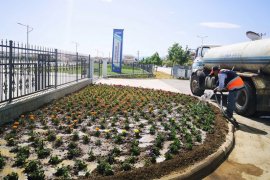 Karaman Belediyesi Mevsimlik Çiçek Ekimine Devam Ediyor