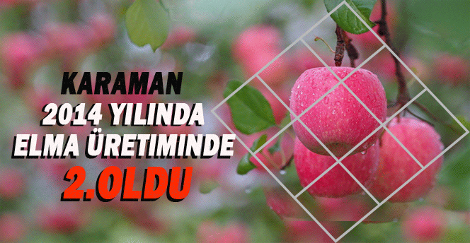 Karaman 2014 Yılında Elma Üretiminde İkinci Oldu