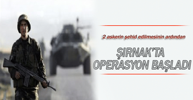 Şırnak'ta operasyon başlatıldı