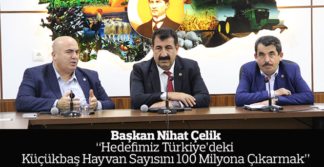 Çelik: “Hedefimiz Türkiye’deki küçükbaş hayvan sayısını 100 milyona çıkarmak”