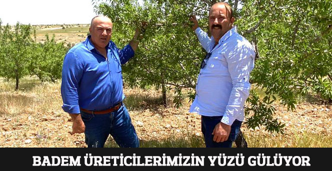 Karaman’da Badem Üreticilerimizin Yüzü Gülüyor