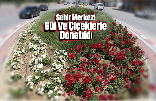 Şehir Merkezi Gül Ve Çiçeklerle Donatıldı