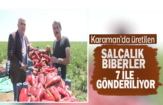 Karaman'da Üretilen Salçalık Biberler 7 İle Gönderiliyor