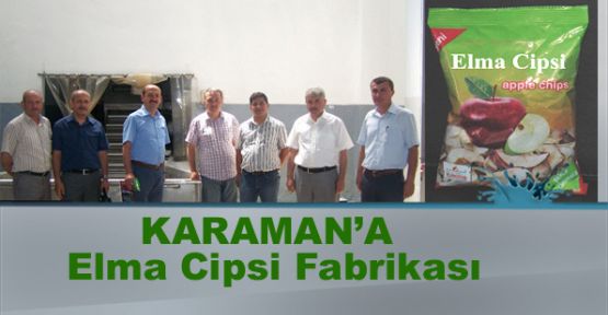 Karaman'da Elma Cipsi Fabrikası'mı Geliyor