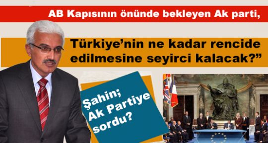Şahin; “AB’nin Türkiye Hakkındaki 2013 İlerleme Raporunu değerlendirdi”