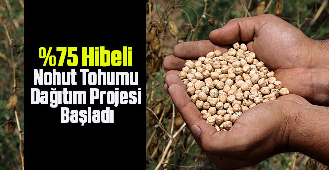 u Hibeli Nohut Tohumu Dağıtım Projesi Başladı